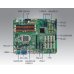 Плата AIMB-781QG2-00A1E LGA1155 Corei7/i5/i3 ATX with DVI/VGA, Dual Gigabit LAN, DDR3, SATAIII/SATAII Плата AIMB-781QG2-00A1E LGA1155 Corei7/i5/i3 ATX with DVI/VGA, Dual Gigabit LAN, DDR3, SATAIII/SATAII